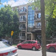 Logement rénové 3 1/2 à louer à Verdun - Photo 2