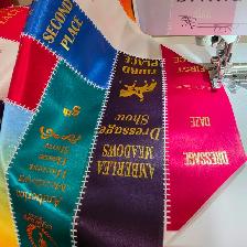 Equestrian Horse Pet Dog Ribbon Quilt (Made to Order) - Photo 4