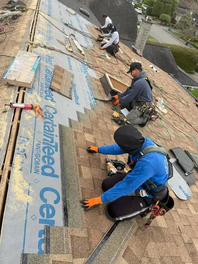 Leaking Roof , Roofing , Shingles , Roof Repair ☎️6.477712131
