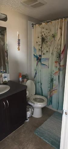 Condo for Rent - Photo 7