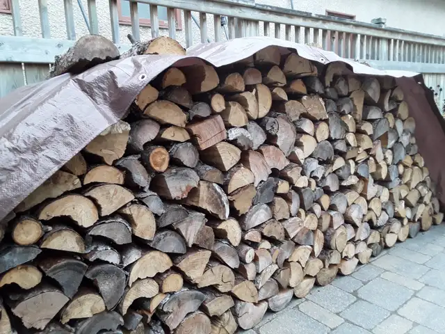 TRANSCONA Tamarack Firewood Lady