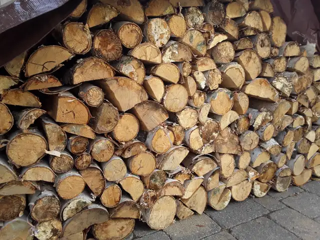 TRANSCONA Birch Firewood Lady