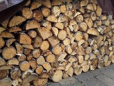 TRANSCONA Birch Firewood Lady