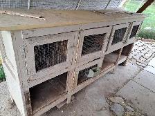 Bunny Hutch for Colony Raising