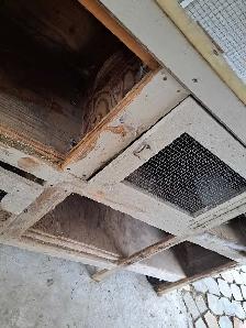 Bunny Hutch for Colony Raising - Photo 2