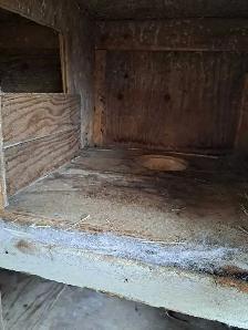 Bunny Hutch for Colony Raising - Photo 4