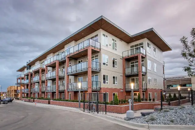 Mordern Bright  1BD den condo available Dec1st