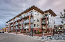 Mordern Bright  1BD den condo available Dec1st