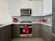 Mordern Bright  1BD den condo available Dec1st - Photo 2