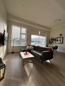 Mordern Bright  1BD den condo available Dec1st - Photo 4