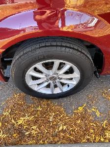 2010 Dodge Grand Caravan SE  /  ONLY 184,000 KMS  /  NO ACCIDENT - Photo 10