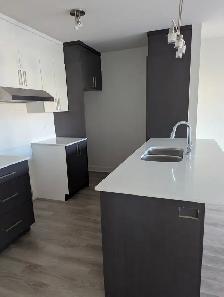 3 1/2 Terrebonne (Lachenaie), 1595$/mois, libre maintenant - Photo 3