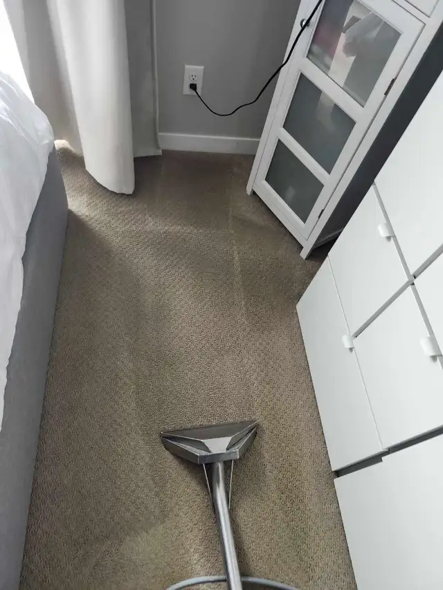 part time carpet cleaning helper needed