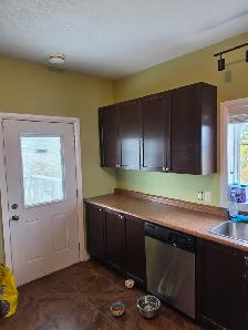 Experienced painter for hire - Photo 4