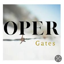 Gate Opener - Photo 4