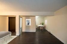 Charleswood - Bachelor Suite Available - Photo 3