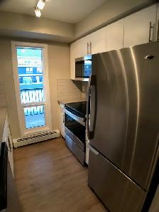 826-201 Abasand Dr - Photo 3