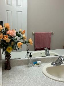 Beautiful furnished room for rent. Mississauga - Photo 10