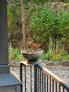 2 Bedroom, 2 Bath Condo in Vernon BC - Photo 9