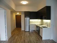Luxurious Condo 1 Bedroom   1 Bath. Parking, Locker. - Photo 2