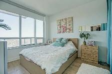 Luxurious Condo 1 Bedroom   1 Bath. Parking, Locker. - Photo 4
