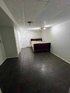 Large 2 Bedroom 1 Bathroom Basement For Rent Near Highstreet - Photo 5