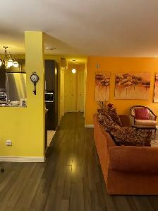 4 1/2 ameublé / fully furnished