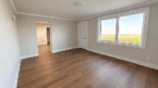 Newly renovated home for sale in Steinbach, MB - Photo 3