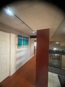 Spacious 2-Bedroom Basement Apartment in Heartland, Mississauga - Photo 15