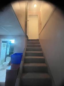 Spacious 2-Bedroom Basement Apartment in Heartland, Mississauga - Photo 16