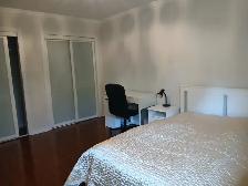 Great spacious room in Condo Townhouse Burnhamthorpe/Tomken - Photo 3