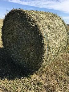 2026 Hay for sale - Photo 2