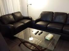ONE BEDROOM   SMALL DEN FURNISHED CONDO SHORT/LONG RENT SQUARE 1 - Photo 6