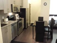 ONE BEDROOM   SMALL DEN FURNISHED CONDO SHORT/LONG RENT SQUARE 1 - Photo 7