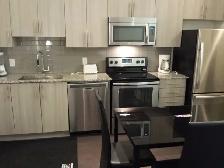 ONE BEDROOM   SMALL DEN FURNISHED CONDO SHORT/LONG RENT SQUARE 1 - Photo 10