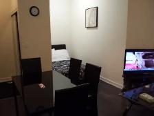 ONE BEDROOM   SMALL DEN FURNISHED CONDO SHORT/LONG RENT SQUARE 1 - Photo 11