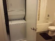 ONE BEDROOM   SMALL DEN FURNISHED CONDO SHORT/LONG RENT SQUARE 1 - Photo 13