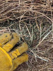 HAY for sale - Photo 2