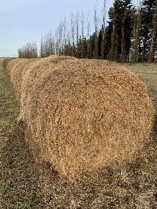 HAY for sale - Photo 3