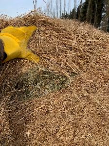 HAY for sale - Photo 4