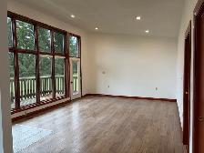 new renovation Bungalow house for rent in Caledon - Photo 8