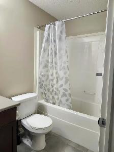 03 Bedroom House for rent - Photo 6