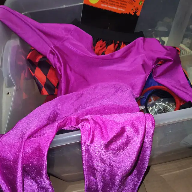 Halloween costumes and decor tote