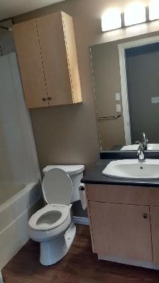 Legal Basement Suite for Rent in Stonebridge - Photo 9