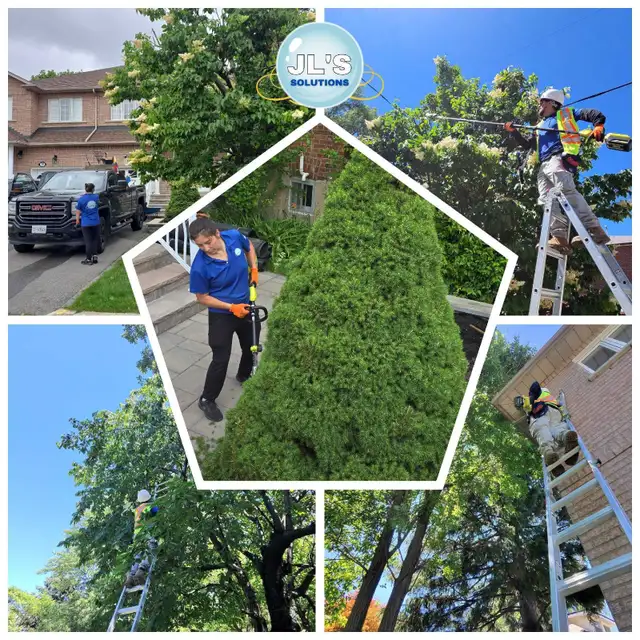 FALL CLEANUP & SNOW REMOVAL ❄️ JL’S SOLUTIONS