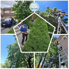 FALL CLEANUP & SNOW REMOVAL ❄️ JL’S SOLUTIONS