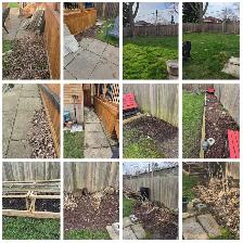 FALL CLEANUP & SNOW REMOVAL ❄️ JL’S SOLUTIONS - Photo 3