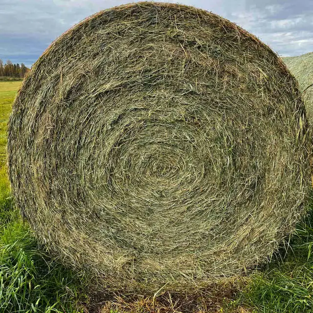 Second cut Hay
