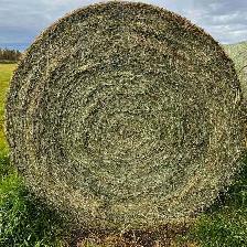 Second cut Hay