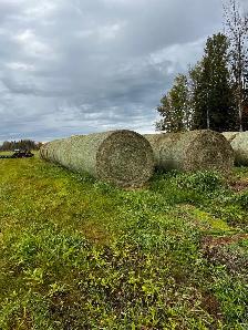 Second cut Hay - Photo 2